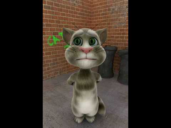 descargar talking tom 1